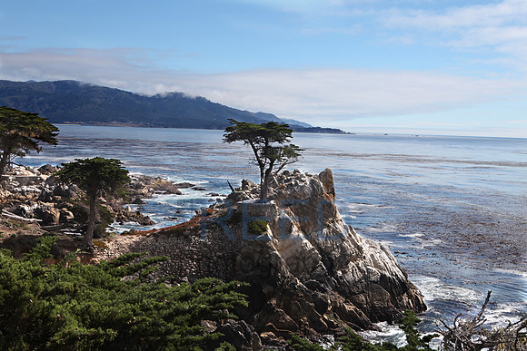 17 Mile Drive, Monterey, CA